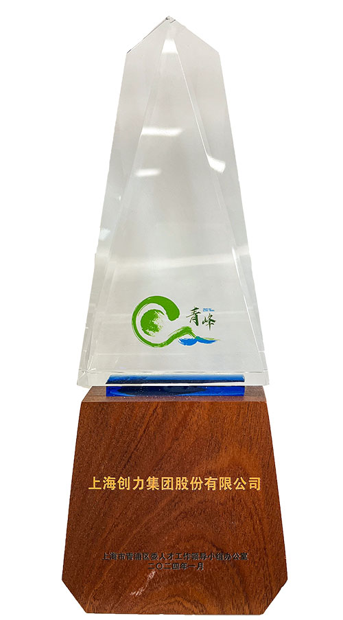 喜報(bào)！上海創(chuàng)力集團(tuán)榮獲2023年度青浦區(qū)百強(qiáng)優(yōu)秀企業(yè)等三項(xiàng)大獎(jiǎng)(圖3)